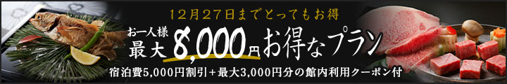8,000円お値引きプラン