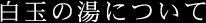 白玉の湯について