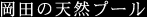 岡田の天然プール